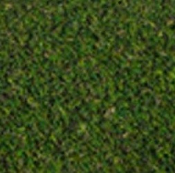 AstroTurf